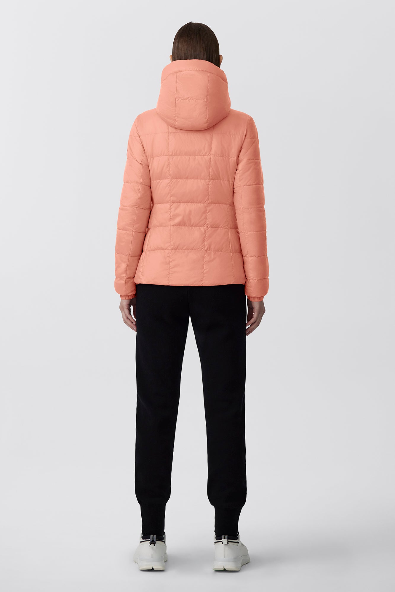 2220L_1666_b_1bc34eea-a67c-4997-b398-a65c4efeb17d