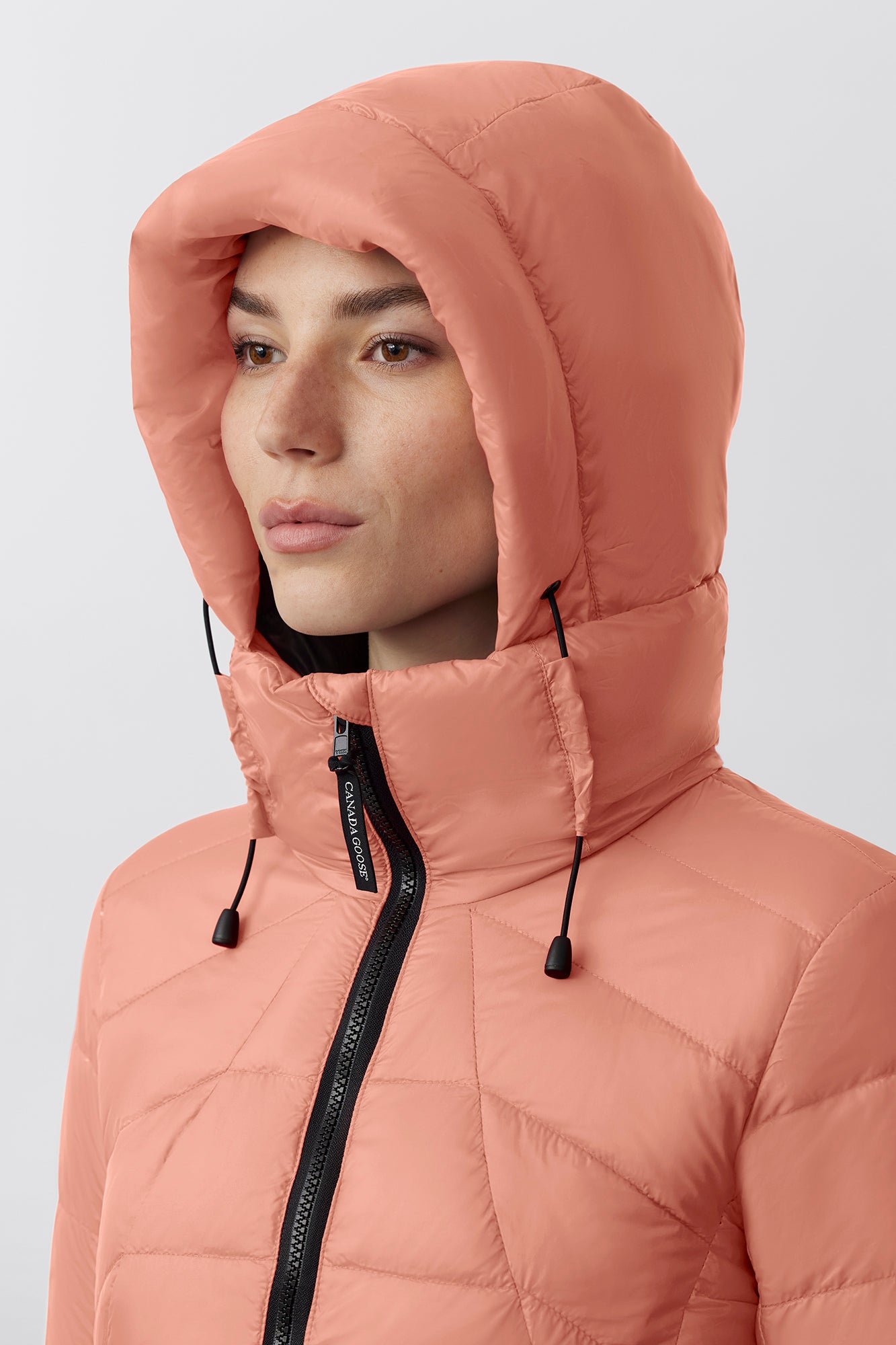 2220L_1666_c_13b99914-ff9b-41fb-b24d-3408c0ef5339